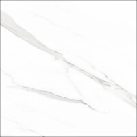 60X60 G.STATUARY BLANCO